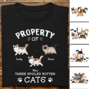 Lively Design T-shirt Cat Lover - The Spoiled Rotten Cats - Personalized Unisex T-Shirt